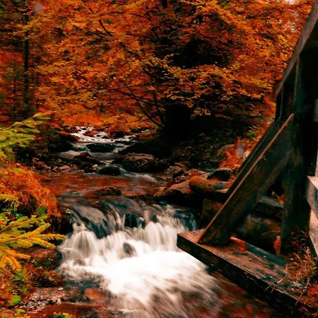 아파트 Jaszczurowka